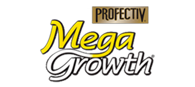 logo4